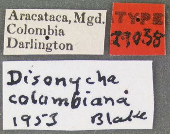 Media type: image;   Entomology 29038 Aspect: labels